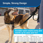 Dog Harness Supplier - Luxury Anti-Slip Print Pet Chain Dog Cat Walking Direct Factory Leash