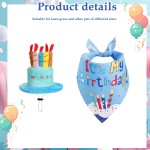 Pet Birthday Hat Supplier - Cute Cat Dog Birthday Hat Cotton Sound Toy Adjustable Band Winter Party