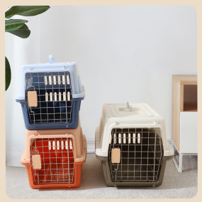Pet Carrier Manufacturer - Factory Direct Sales Light Weight Portable Outdoor Plastic Space Capsule Airline Approved