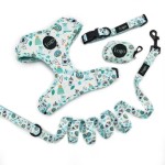 Dog Collar Set Manufacturer - Wholesale Personalized Designer Soft Padded Harness Set for Dog