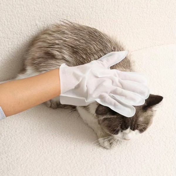 Pet Cleaning Gloves Supplier - Wholesale Deodorizing Environmentally Friendly Disposable Cleaning Gloves
