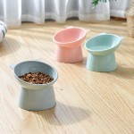 Dog Bowl Factory - Custom Stylish Non-Slip Tilted Feeder Neck Protective Small Animal Elevated