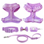 Dog Collar Set Supplier - Customizable Eco-Friendly Metal Buckle Collar Harness Leash Set