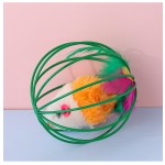 Cat Toys Supplier - Manufacturer Direct Sales Colored Forcing Mouse Interactive Rolling Cage Toys