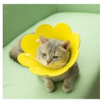 Pet Collars Supplier - Hot Selling Disinfection Anti Licking Recovery Protection Adjustable