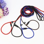 Pet Leash Manufacturer - Christmas Trends Personalized Polyester Hook Long Dog Cat Training Rope