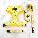 Dog Collar Set Manufacturer - Wholesale Personalized Designer Soft Padded Harness Set for Dog