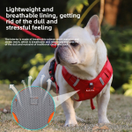 Pet Feeder Factory - Hot Sale Double Bowl Automatic Cat Dog Food Water Dispenser Factory Customized