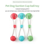 Pet Bone Toy Factory - Hot Selling Suction Cup Multifunctional Chew Grind Teeth Bite Resistant