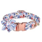 Pet Collar Factory - Original Factory Metal Buckle Customizable Heavy Duty Training Durable Luxury