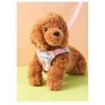 Pet Harness Set Manufacturer - Low Price Wholesale Color Safe Secure Dog Walking Tool Leash Set