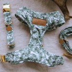 Pet Collar Supplier - Factory Direct Sales Nylon Luxury Adjustable Dog Chest Harness Bulk