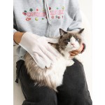 Pet Cleaning Gloves Supplier - Wholesale Deodorizing Environmentally Friendly Disposable Cleaning Gloves