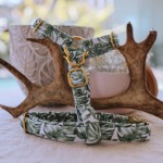 Pet Collar Supplier - Factory Direct Sales Nylon Luxury Adjustable Dog Chest Harness Bulk