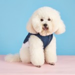 Dog Jeans Coat Factory - Wholesale Winter Two Legged Denim Fabric Fleece Lining Warm Sherpa Jacket