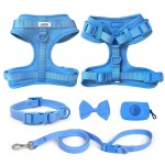 Dog Collar Set Supplier - Customizable Eco-Friendly Metal Buckle Collar Harness Leash Set