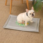 Pet Coolpad Supplier - Summer Coolpad Solid Color Cartoon Lightweight Waterproof Safe Relaxing Rectangle