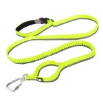 Elastic Dog Leash Manufacturer - High Quality Elastic Bungee Buffer Polyester Dog Leash for Training
