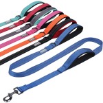Dog Leash Factory - Luxurious Nylon Dual Elastic Handles 3m Heavy Duty Bungee Highly Reflective