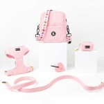 Dog Collar Set Manufacturer - Wholesale Personalized Designer Soft Padded Harness Set for Dog