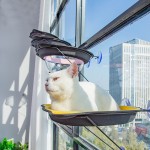 Cat Hammock Factory - Universal Hanging Hammock Safe Stable Strong Suction Cup New Four Season Modern