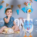 Pet Birthday Hat Supplier - Cute Cat Dog Birthday Hat Cotton Sound Toy Adjustable Band Winter Party