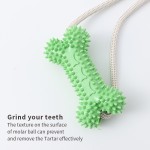 Pet Bone Toy Factory - Hot Selling Suction Cup Multifunctional Chew Grind Teeth Bite Resistant