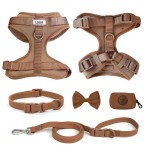 Dog Collar Set Supplier - Customizable Eco-Friendly Metal Buckle Collar Harness Leash Set