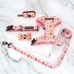 Dog Collar Set Manufacturer - Wholesale Personalized Designer Soft Padded Harness Set for Dog