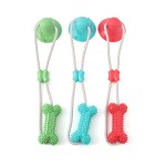 Pet Bone Toy Factory - Hot Selling Suction Cup Multifunctional Chew Grind Teeth Bite Resistant