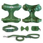 Dog Collar Set Supplier - Customizable Eco-Friendly Metal Buckle Collar Harness Leash Set