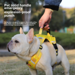 Pet Feeder Factory - Hot Sale Double Bowl Automatic Cat Dog Food Water Dispenser Factory Customized