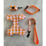 Pet Leash Factory - Custom Eco-Friendly Soft Adjustable Custom Pattern Multipurpose Leash Collar