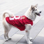 Dog T-Shirt Manufacturer - Factory Direct Sale Summer Classic Large Size Multicolor Luxury Blank
