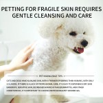 Pet Shampoo Supplier - Wholesale High Quality Gentle Friendly Non Irritating Large Capacity Shampoo