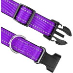 Pet Collar Manufacturer - Nylon LED Night Safety Flashing