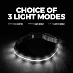 Pet Collar Factory - Led USB Rechargeable Color Changeable