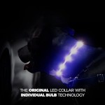 Pet Collar Factory - Led USB Rechargeable Color Changeable