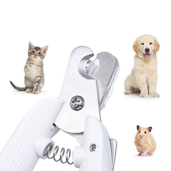 Pet Grooming Tool Supplier - Wholesale Stainless Steel Nail