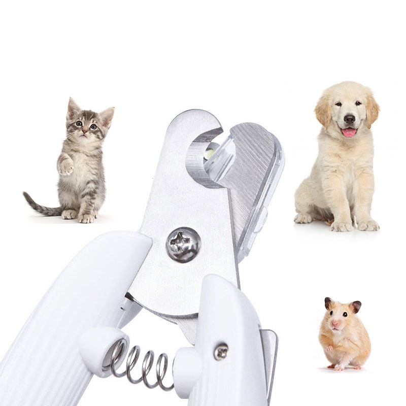 Pet Grooming Tool Supplier - Wholesale Stainless Steel Nail