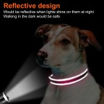 Dog Collar Factory - Custom Reflective Neoprene Padded