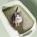Cat Litter Box Supplier - Open Top High Sides Includes Scoop
