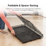 Dog Cage Supplier - High Quality Iron Plastic Double Door