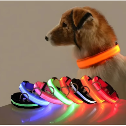 Pet Collar Manufacturer - Nylon LED Night Safety Flashing