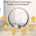 Cat Treadmill Manufacturer - Large Carpeted Runway Silent