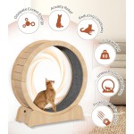 Pet Exercise Wheel Factory - Ultimate Walking Fun Stimulating