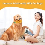 Dog Chew Toy Supplier - Pineapple Indestructible Tough Treat