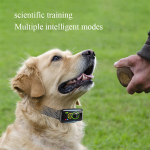 Dog Bark Collar Factory - 2025 Upgrade Remote 4 Modes