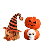 Puppy Toy Factory - Pumpkin Shaped Squeaky Aggressive Chewers