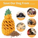 Dog Chew Toy Supplier - Pineapple Indestructible Tough Treat